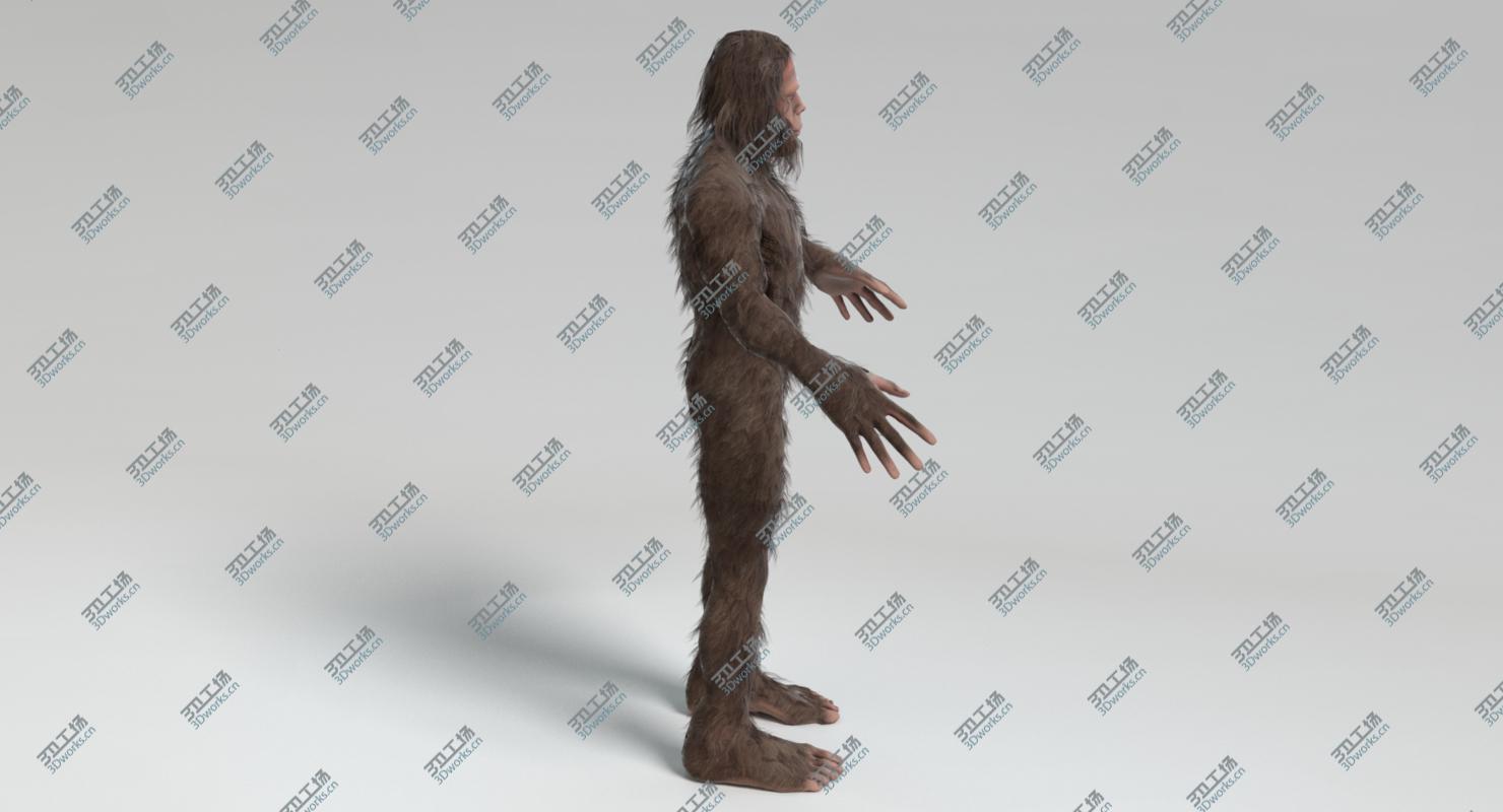 images/goods_img/2021040164/3D Bigfoot/4.jpg